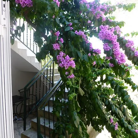 Apartman Elena Split